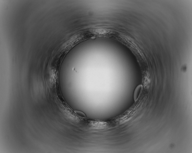 X0000101150476200806270948