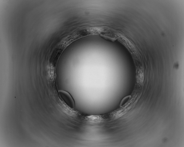 X0000101150477200806270948
