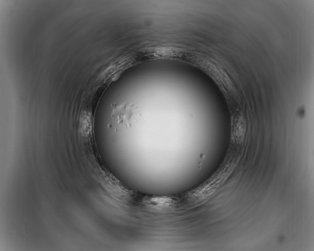X0000101150478200806270948