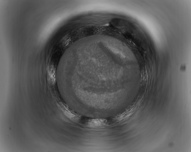 X0000101150479200806270948
