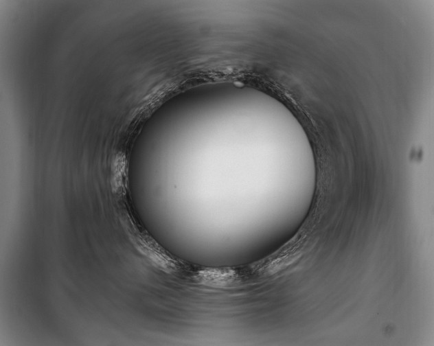 X0000101150480200806270948