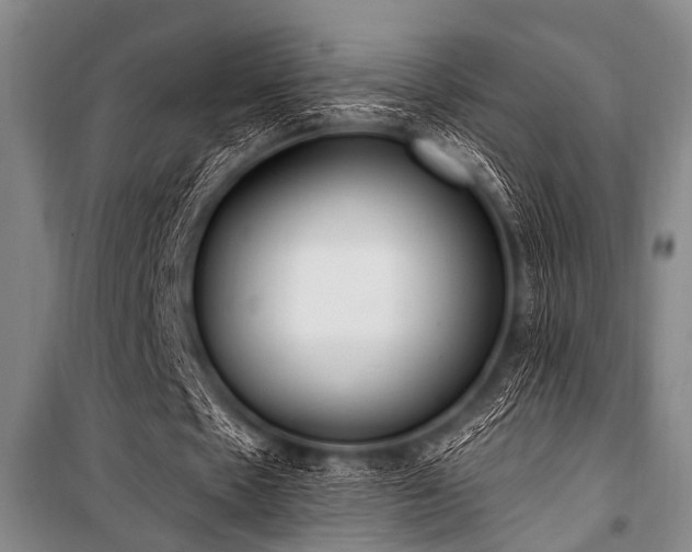 X0000101150481200806270947
