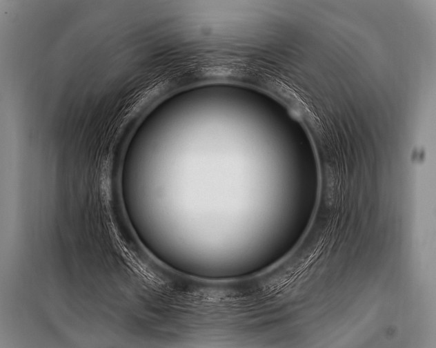 X0000101150482200806270947