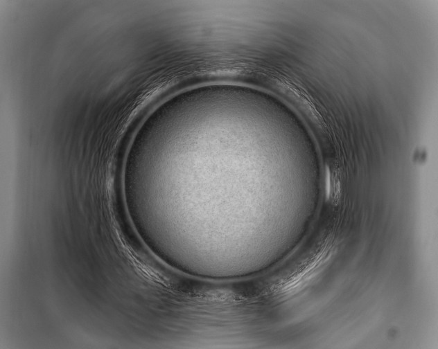 X0000101150483200806270947