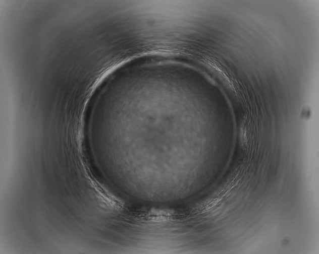 X0000101150484200806270947
