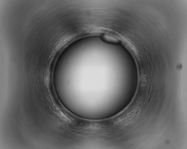 X0000101150485200806270947