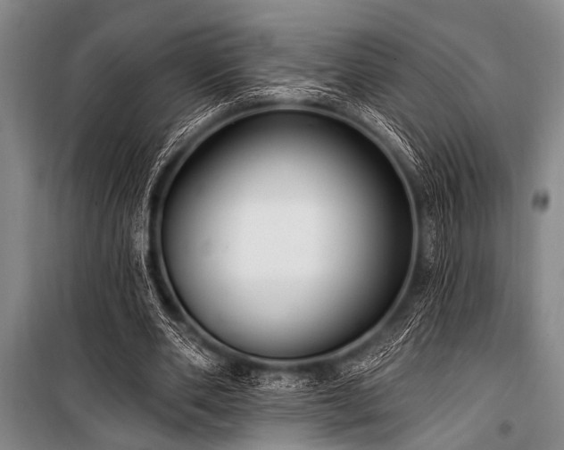 X0000101150486200806270947