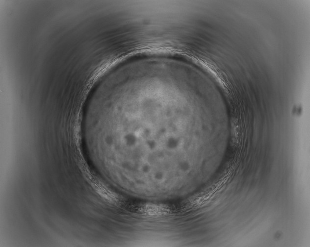X0000101150487200806270947