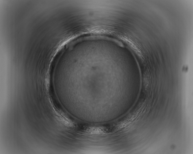X0000101150488200806270947