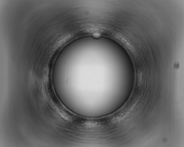 X0000101150490200806270947
