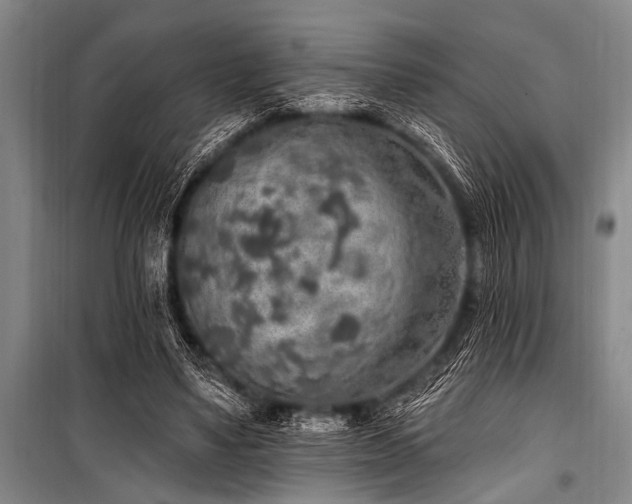 X0000101150491200806270947