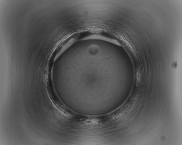X0000101150492200806270947