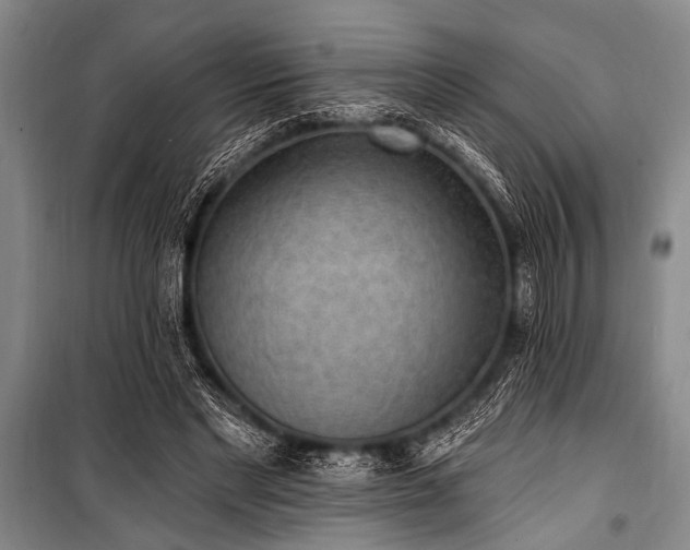 X0000101150493200806270947
