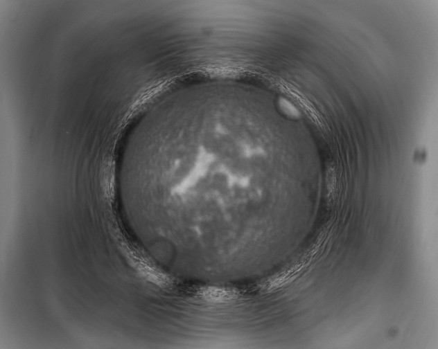 X0000101150494200806270947