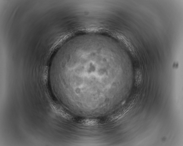 X0000101150495200806270947
