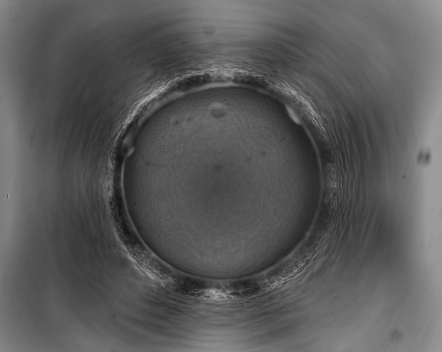 X0000101150496200806270947