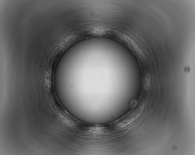 X0000101150497200806270947