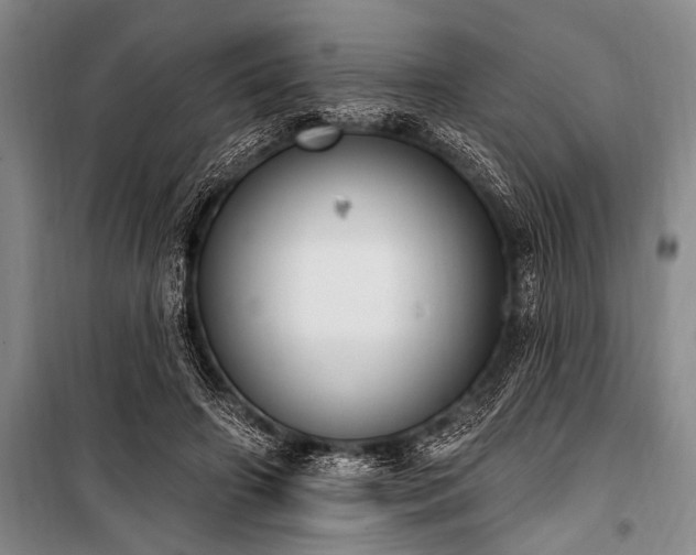 X0000101150498200806270947