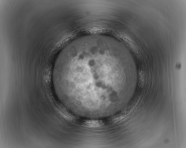 X0000101150499200806270947