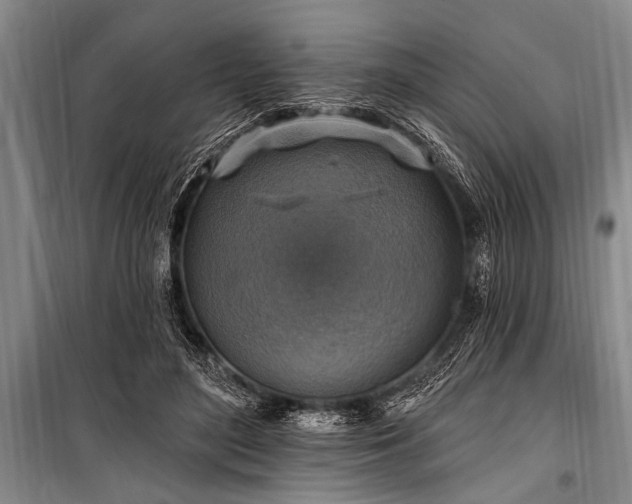 X0000101150500200806270946