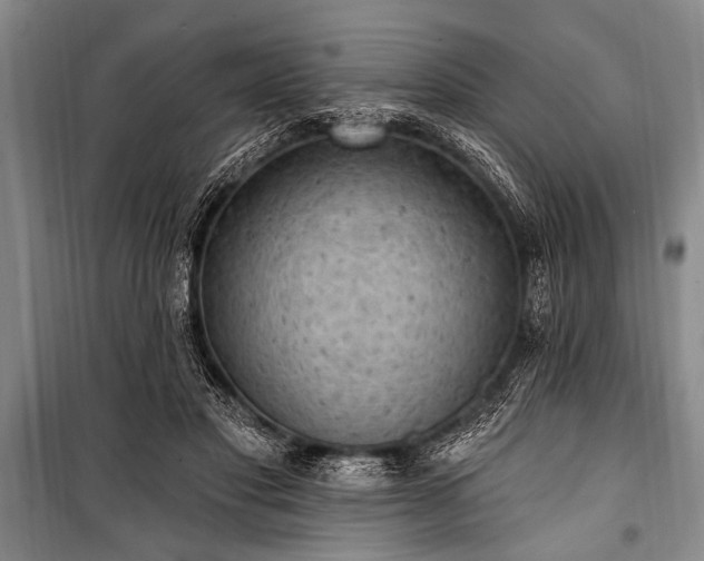 X0000101150501200806270946