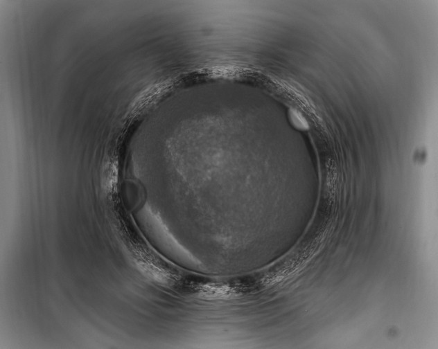 X0000101150502200806270946