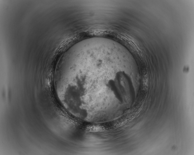 X0000101150503200806270946