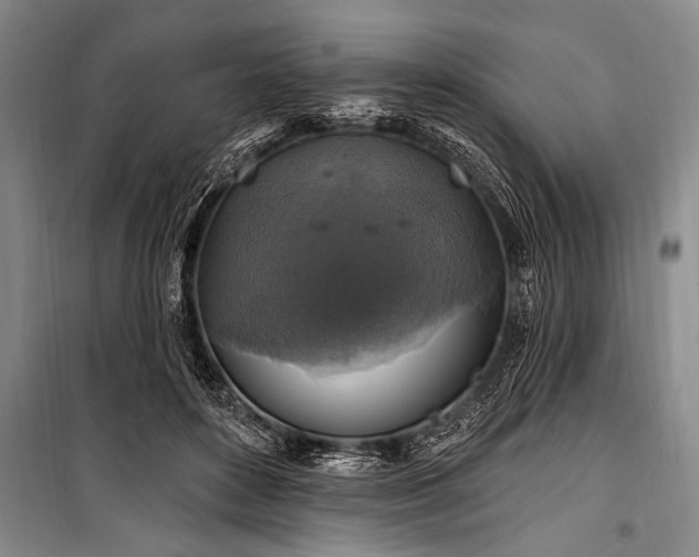 X0000101150504200806270946
