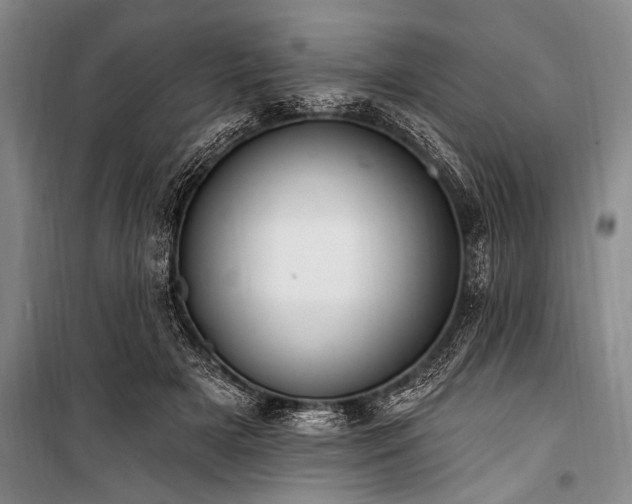 X0000101150505200806270946