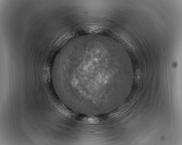 X0000101150506200806270946