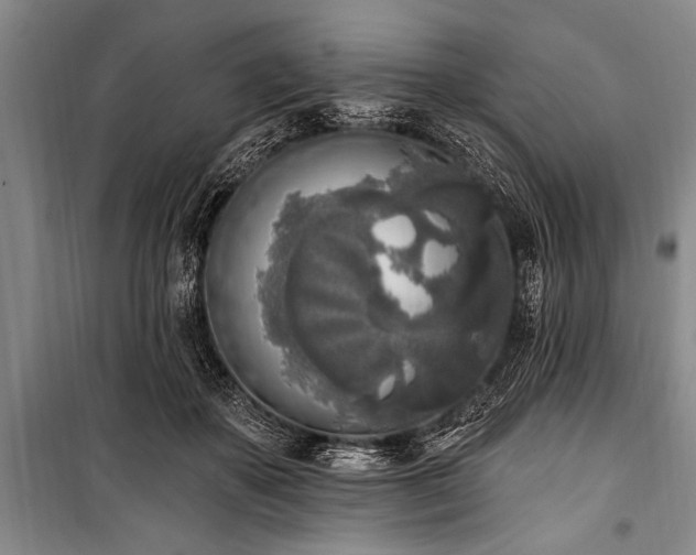 X0000101150507200806270946