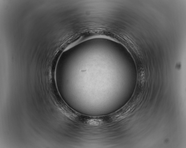 X0000101150508200806270946