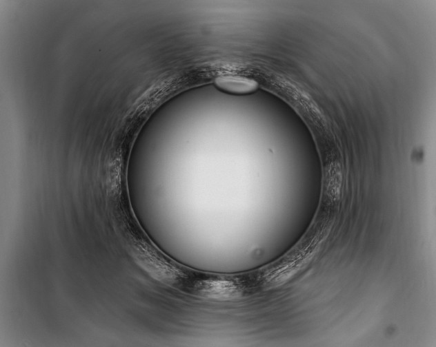 X0000101150509200806270946