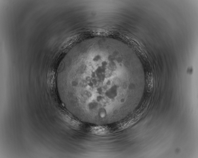 X0000101150511200806270946