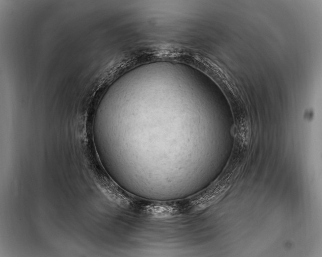 X0000101150512200806270946