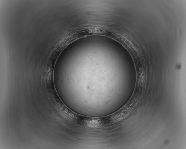 X0000101150513200806270946