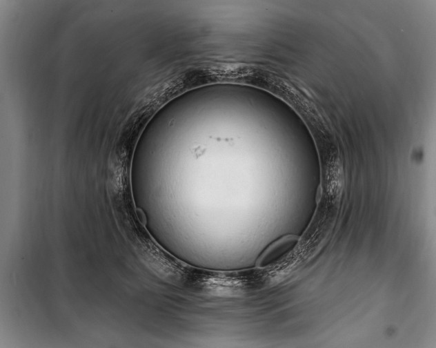 X0000101150515200806270946