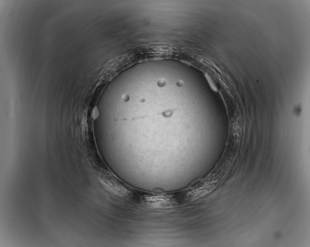X0000101150516200806270946