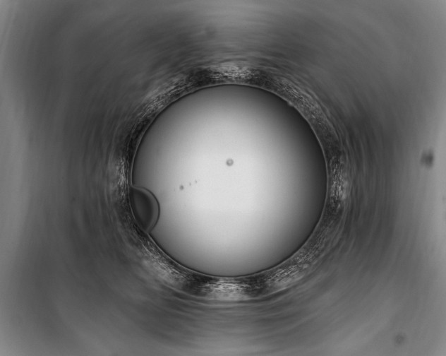 X0000101150518200806270946