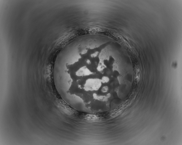 X0000101150519200806270946