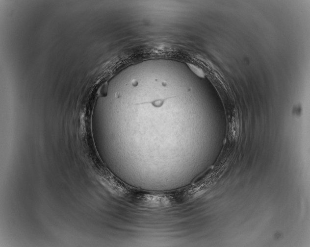 X0000101150520200806270946