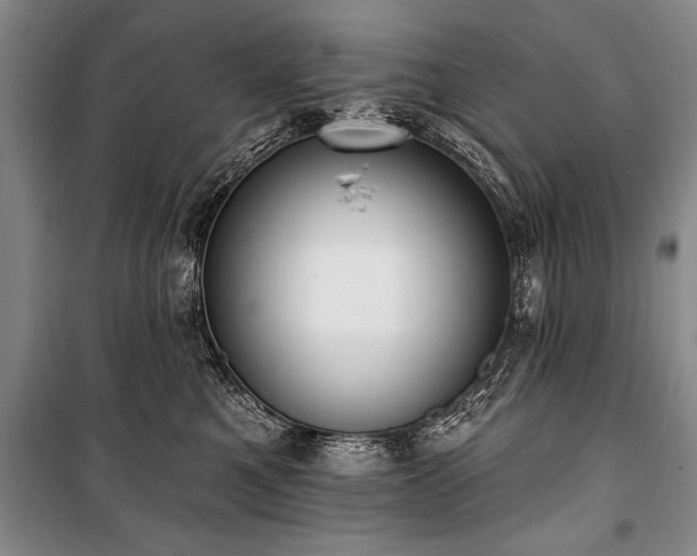 X0000101150521200806270946