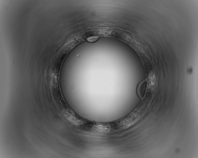 X0000101150522200806270946