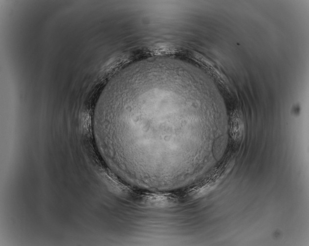 X0000101150523200806270946