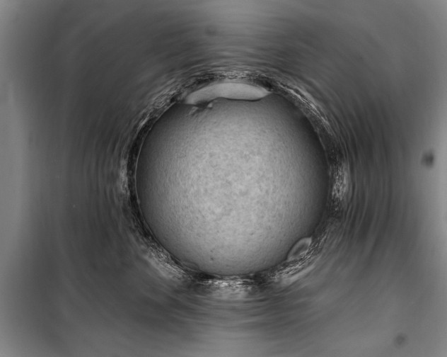 X0000101150524200806270946
