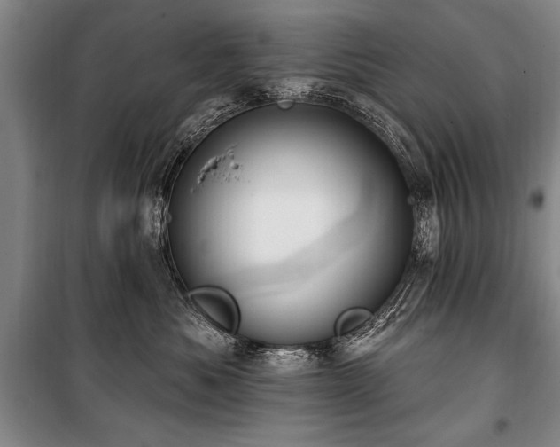 X0000101150525200806270946