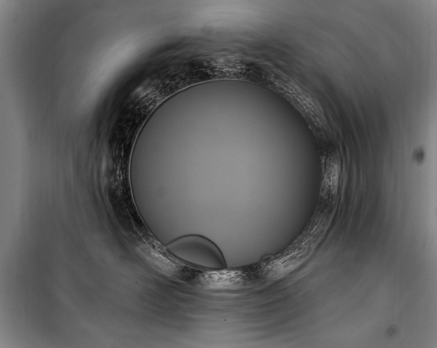 X0000101150526200806270946