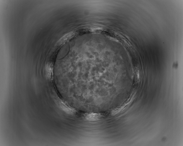 X0000101150527200806270946
