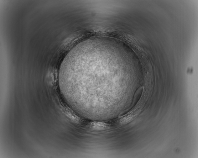 X0000101150528200806270946