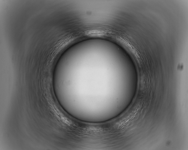 X0000101150529200806270945